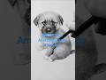 🐶🐶Cute Puppy Drawing Tutorial | You Won't Believe It's Just Pencil! #animalsketching #pencildraw