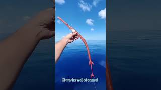 Amazing aquatic creatures with unique features#Explained #Knowledge #InterestingFacts #MindBlowing