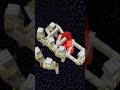 هل يقدر واردن واحد أنو يهزم 10 أيرون قولم   ماين كرافت