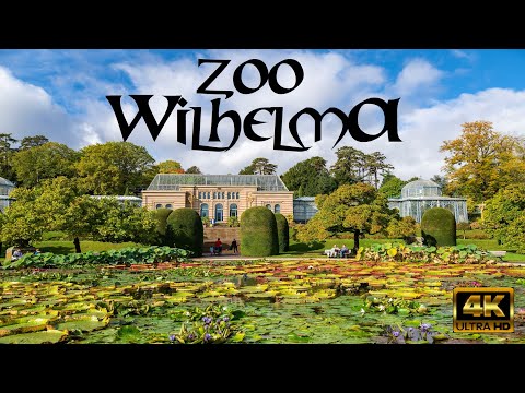 Vidéo: Zoo à Stuttgart