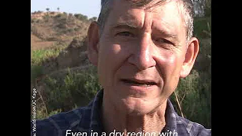 Tony Rinaudo: The "Forest Maker" who helped restore 200 million trees