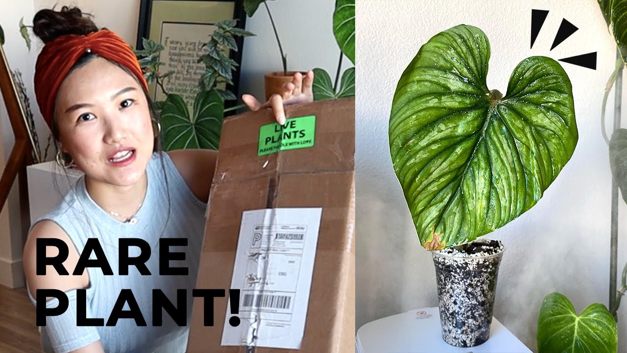 largest plastic plant pots Viagrow 45 gal Round Plastic Plant Pots main image 1