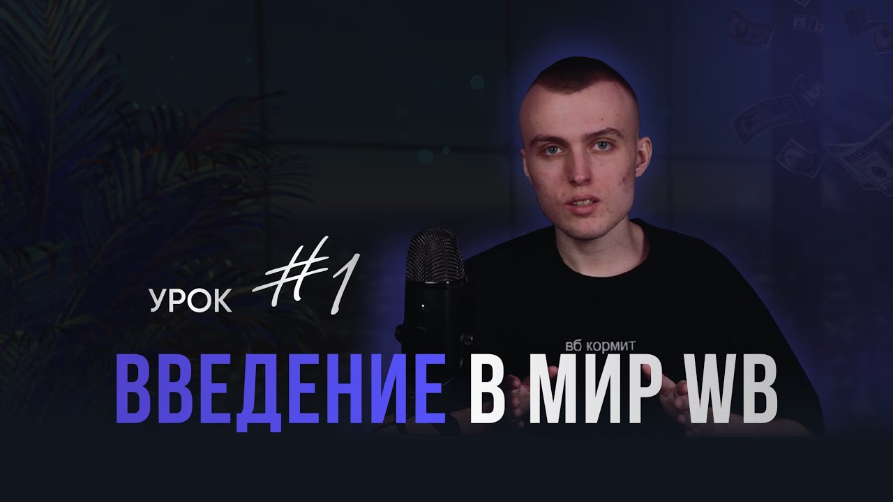 Урок 1 - Трейлер. Возможности в бизнесе на WB для новичка независимо от вложений