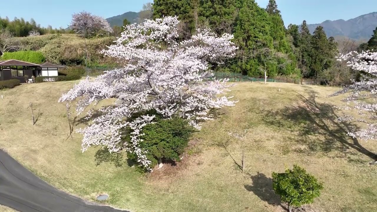 三鈴 カントリー 倶楽部