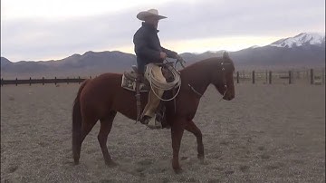 Clint Weaver Horsemanship - Changing Directions While in a Reverse Arc