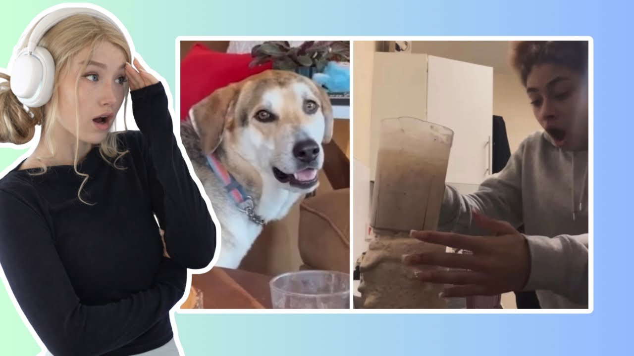 Реакция на самые смешные видеоролики из интернета!!!