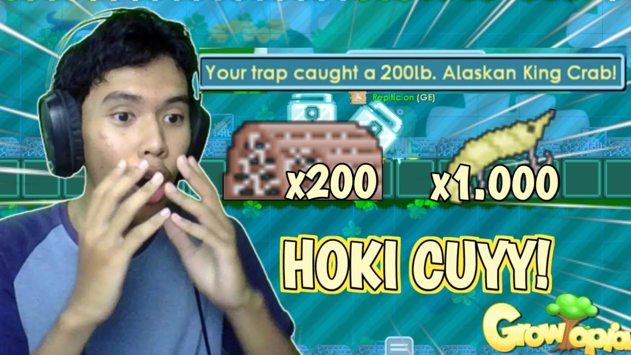 HARVEST 200 LOBSTER TRAP MENGGUNAKAN 1.000 SHRIMP LURE HOKI KAHH