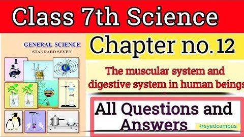 Chapter 12 Muscular System & Digestive System Class 7 | chapter 12 Questions & Answers” #std7