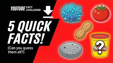 Test Your Knowledge: 5 Quick Questions (Only 1% Get 5/5) | FitlyFused