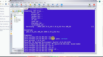 Install Nexus in aws ec2