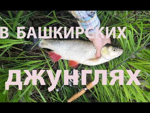 Забытые реки #13 В Башкирских джунглях!