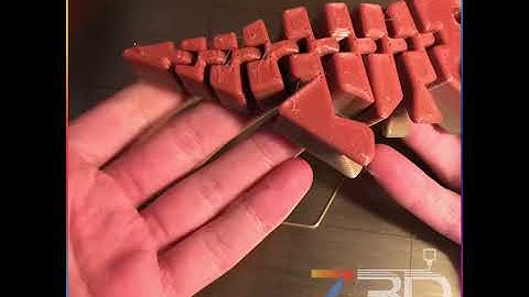 Z3D - Flexi Rex Timelapse