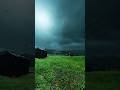 In very windy weather #shortvideo #shortsfeed #naturelovers #shorts #shortsviral #short
