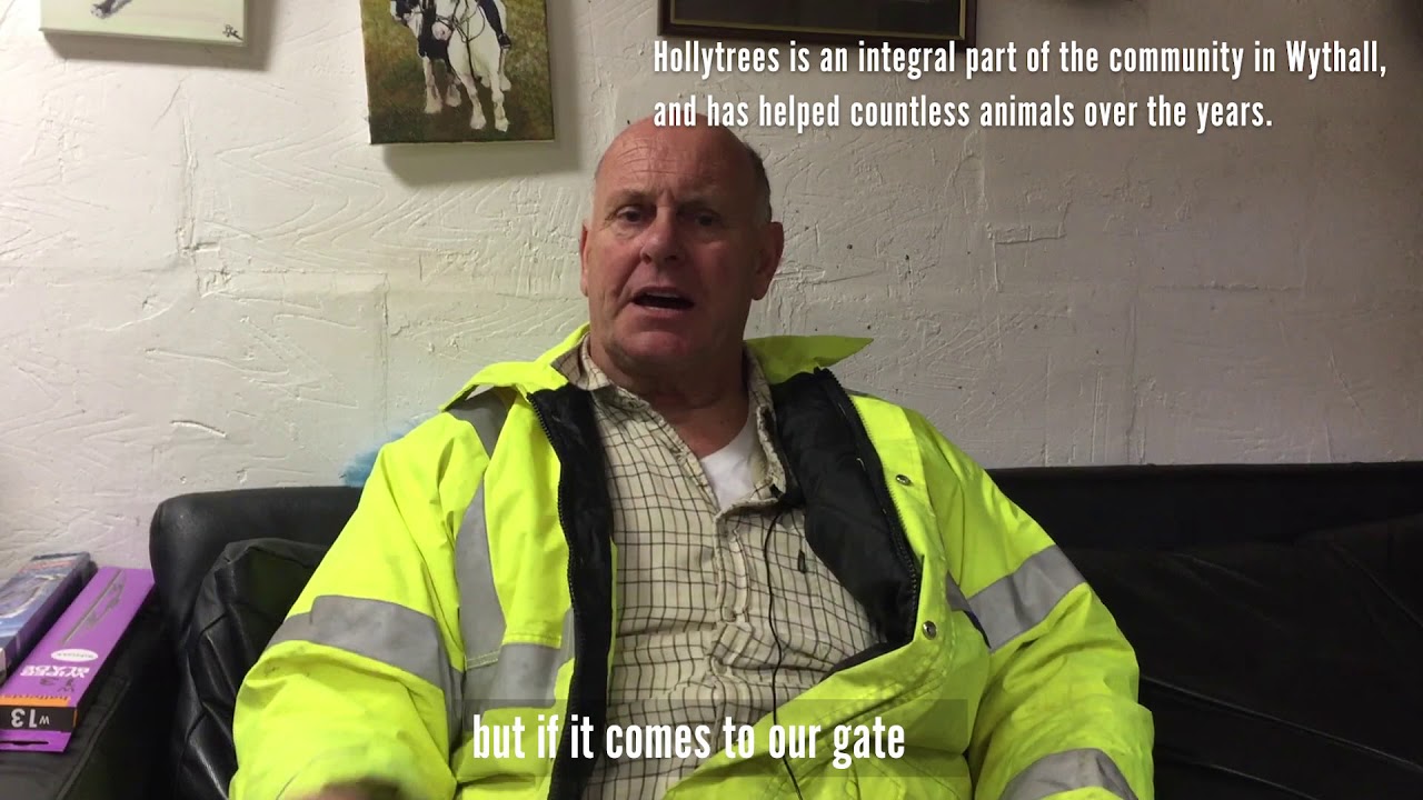 Hollytrees Social Short