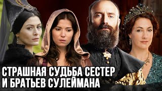 Что случилось с братьями и сестрами султана Сулеймана?