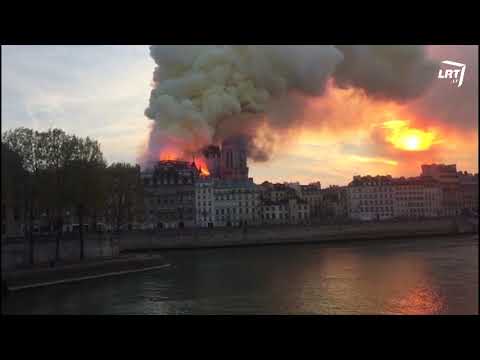 Video: „Paryžiaus Pilvas“: Naujas Sezonas