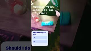Comment your guesses#relaxing #whatilike #terrarium #ecosystem #animals #cool #calmingmusic #calming