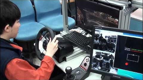 Driver Head Pose Estimation Demo 1