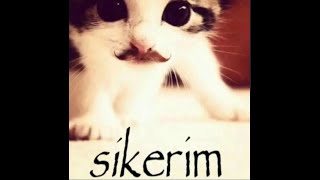 HERŞEY RELAKS
