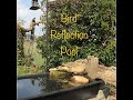 BIRD Photography / Reflection Pool