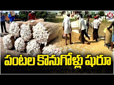 Govt Arrangements For Procurement Of Monsoon Crops | V6 News - V6NEWSTELUGU