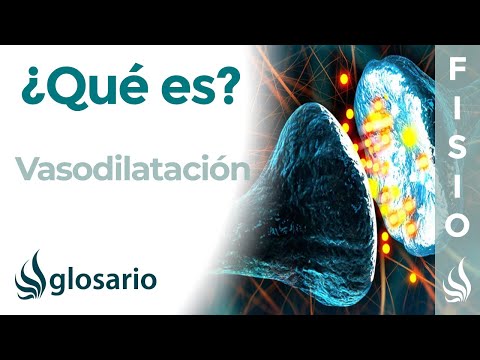 Video: ¿Qué tejido es responsable de la vasodilatación?