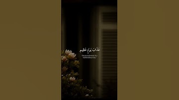 سورة الزمر 💙#حالات #حالات_واتس_اب #حلات_دينية #حلات_واتس #جمعة_مباركة #يوم_الجمعة