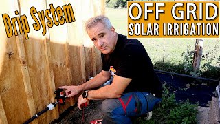 Off Grid Solar Water Pump | Homestead Irrigation
