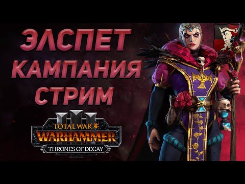 Видео: 🔴ЭЛСПЕТ  - THRONES OF DECAY | TOTAL WAR WARHAMMER 3