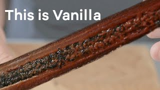how to MAKE YOUR OWN VANILLA