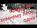 Влог.Одна в зимнем лесу.❄❄❄