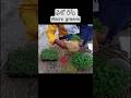 మైక్రో గ్రీన్స్ #microgreens #micro #greens #at #home #gardening #harvest #orggardener #terrace