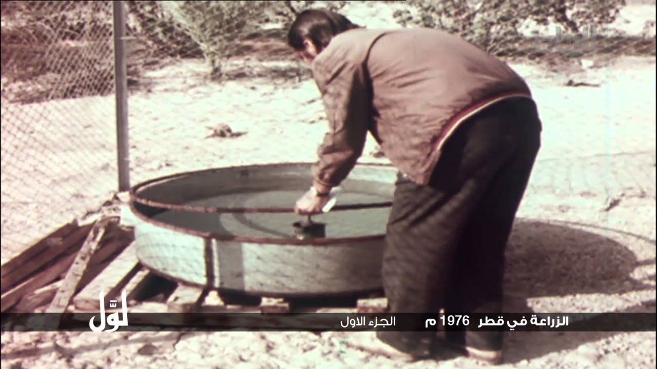 لوّل - الزراعة في قطر 1976م الجزء الأول