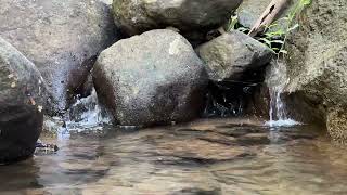 the sound of the flowing river water #naturesounds #relaxing #asmrsounds