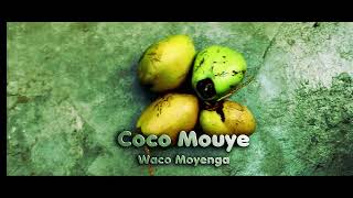Waco Moyenga - Coco Mouye (Official Ghetto Visualizer) Waga