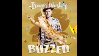 Trevor Wesley - Buzzed (meme lyric video)