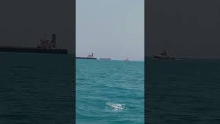 #ship #tanker #travel 🇧🇴🌊🛳️🚢🛳️