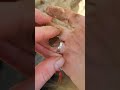 Поиск по размытому советскому пляжу