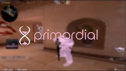 First day with PRIMORDIAL.DEV