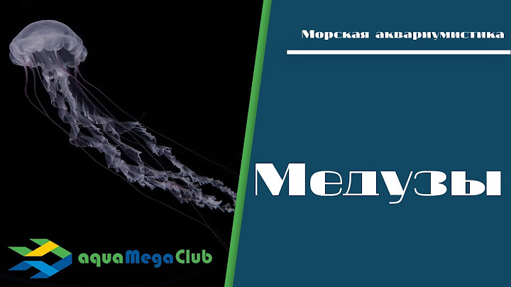 Домашние медузы - это реально?