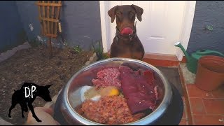 Kaia our 2 year old female doberman eating her homemade raw meal.
dish: kefir, beef heart, ground beef, egg shell powder and preground
mix: liver, e...