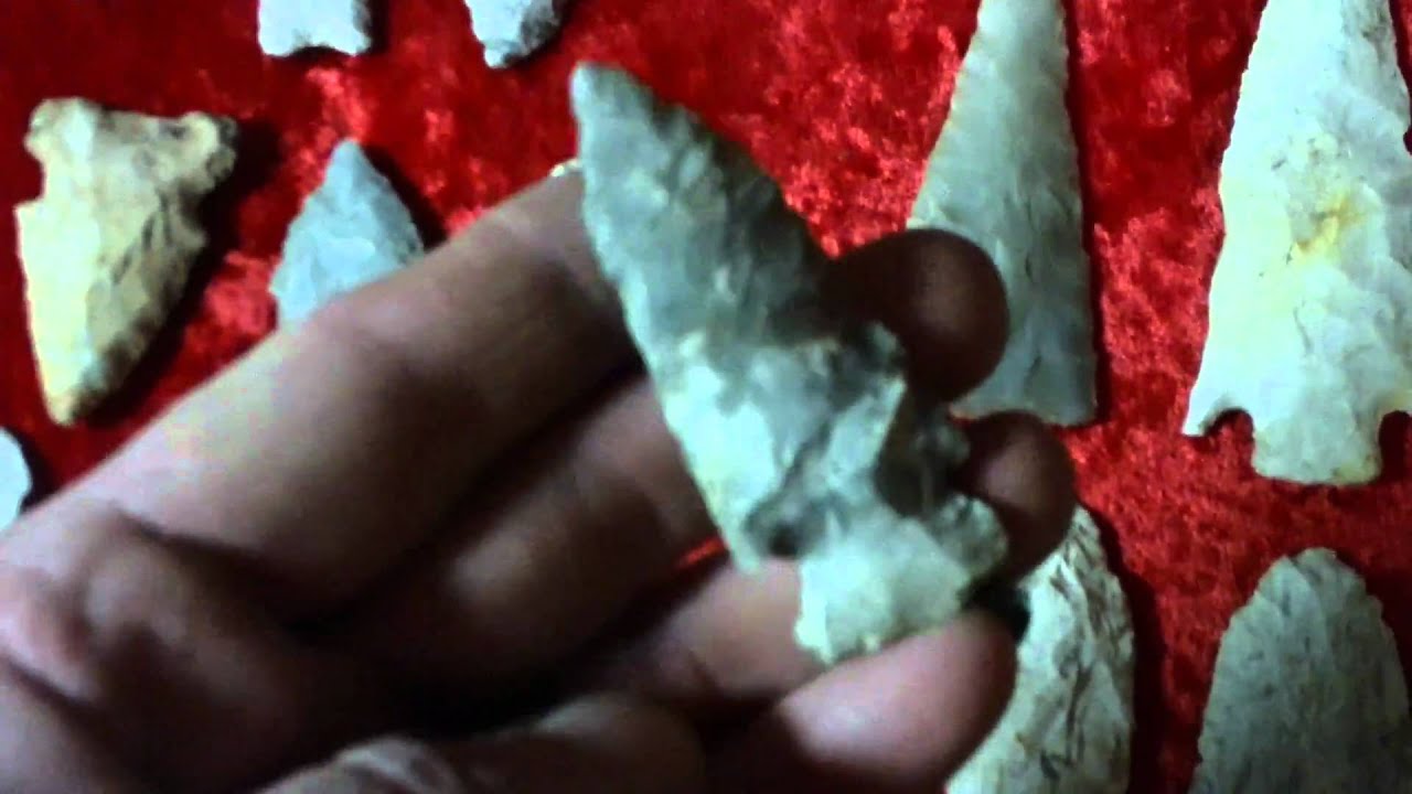 Arrowhead hunting NW Arkansas Big Spring Site 2011 Total for 3 weeks