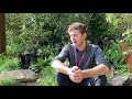 The yeo valley organic garden at chelsea flower show 2021