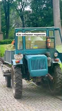 Черный трафик пармезана - YouTube