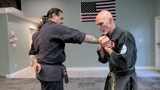 Practical Hapkido same side #3