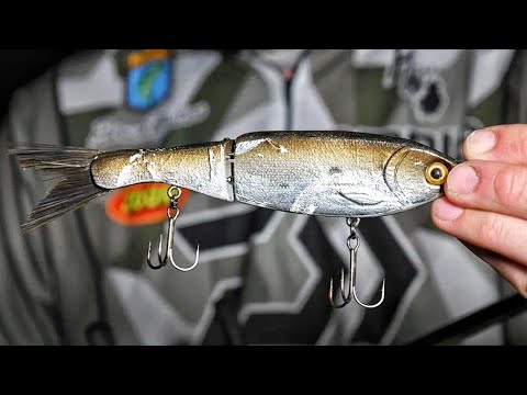 Can Swimbaits WIN Bassmaster at Lake Murray??