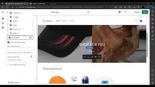 ✅ How to Create Custom Navigation Menus in ShopifyShopify (Full Guide)