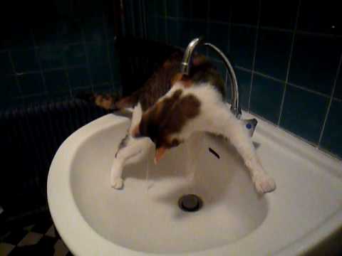 wet chat wet chat