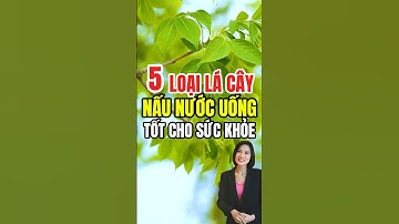 5 Loại Lá Cây Nấu Nước Uống Tốt Cho Sức Khỏe – Thanh Lọc Cơ Thể, Ngừa Bệnh Hiệu Quả!