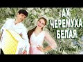 ❤️УНИКАЛЬНЫЕ ГОЛОСА! Заслушаешься! | Ах, черемуха белая | дуэт: &quot;ВячИринка&quot;